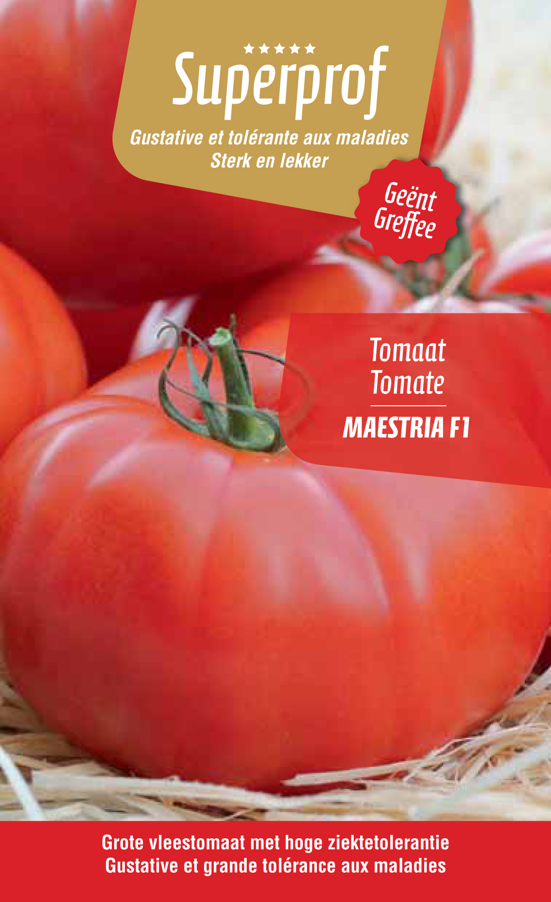 tomate greffée Maestria (tray 8 pot)
